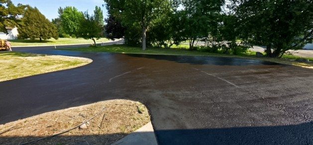Freshly coated black asphalt surface meeting a curb and tree line at the edge of a property.